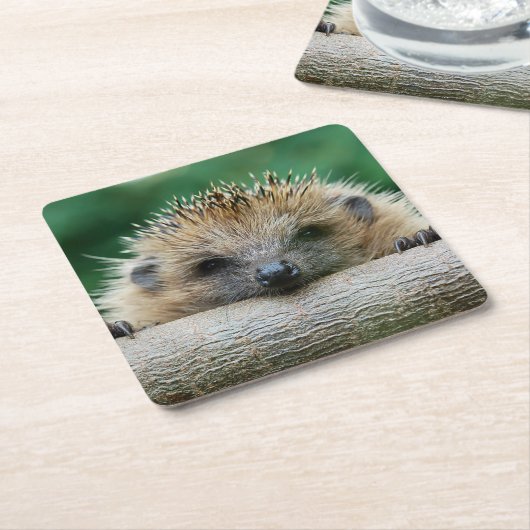 最も可愛い赤ん坊の動物 | Hedgehogスマイル スクエアペーパーコースター (アングル)