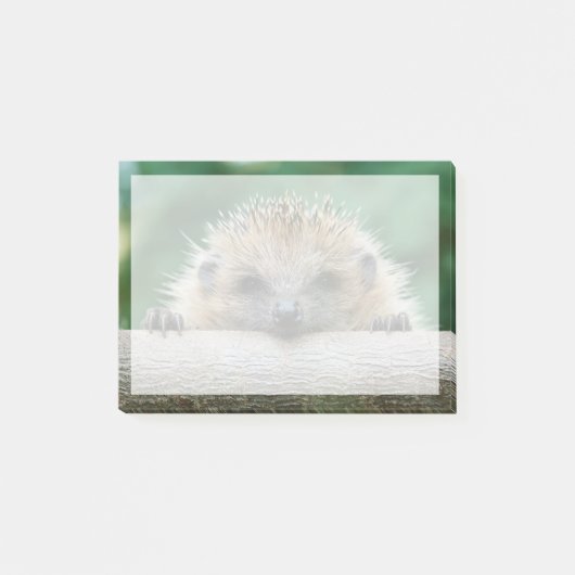 最も可愛い赤ん坊の動物 | Hedgehogスマイル ポストイット (正面)