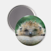 最も可愛い赤ん坊の動物 | Hedgehogスマイル マグネット (正面/裏面)