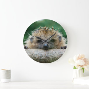 最も可愛い赤ん坊の動物 Hedgehogスマイル ラージ壁時計