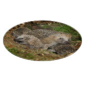 最も可愛い赤ん坊の動物 | Hedgehogファミリ カッティングボード (角)