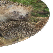 最も可愛い赤ん坊の動物 | Hedgehogファミリ カッティングボード (角)