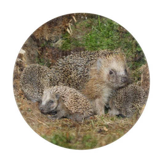 最も可愛い赤ん坊の動物 | Hedgehogファミリ カッティングボード (正面)