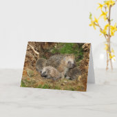 最も可愛い赤ん坊の動物 | Hedgehogファミリ カード (黄色い花)