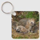 最も可愛い赤ん坊の動物 | Hedgehogファミリ キーホルダー (正面)