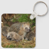 最も可愛い赤ん坊の動物 | Hedgehogファミリ キーホルダー (裏面)