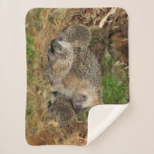 最も可愛い赤ん坊の動物 | Hedgehogファミリ シェルパブランケット (正面)