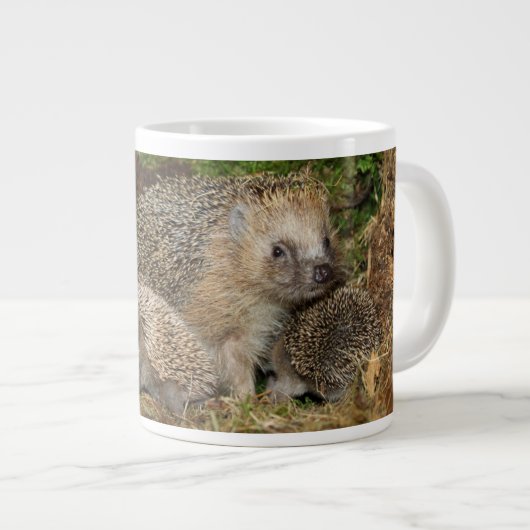 最も可愛い赤ん坊の動物 | Hedgehogファミリ ジャンボコーヒーマグカップ (正面右)