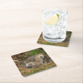 最も可愛い赤ん坊の動物 | Hedgehogファミリ スクエアペーパーコースター (インサイチュ)