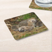最も可愛い赤ん坊の動物 | Hedgehogファミリ スクエアペーパーコースター (アングル)
