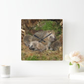 最も可愛い赤ん坊の動物 | Hedgehogファミリ スクエア壁時計 (ホーム)