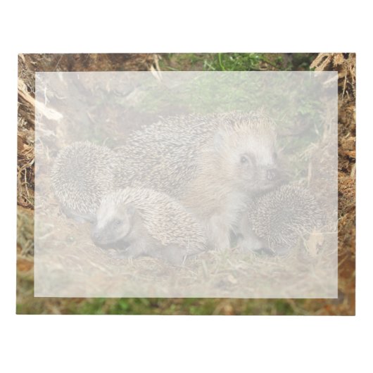 最も可愛い赤ん坊の動物 | Hedgehogファミリ ノートパッド (正面)
