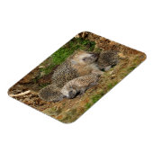 最も可愛い赤ん坊の動物 | Hedgehogファミリ マグネット (左側)