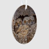 最も可愛い赤ん坊の動物 | Horned 素晴らし Chicks オーナメント (正面)