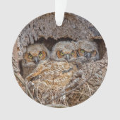 最も可愛い赤ん坊の動物 | Horned 素晴らし Chicks オーナメント (正面)