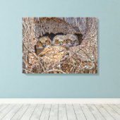 最も可愛い赤ん坊の動物 | Horned 素晴らし Chicks キャンバスプリント (インサイチュ (ウッドフロア))