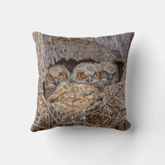 最も可愛い赤ん坊の動物 | Horned 素晴らし Chicks クッション (裏面)