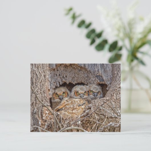 最も可愛い赤ん坊の動物 | Horned 素晴らし Chicks ポストカード (スタンド正面)