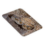 最も可愛い赤ん坊の動物 | Horned 素晴らし Chicks マグネット (右側)