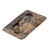 最も可愛い赤ん坊の動物 | Horned 素晴らし Chicks マグネット (左側)