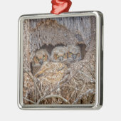 最も可愛い赤ん坊の動物 | Horned 素晴らし Chicks メタルオーナメント (左)