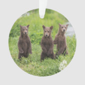 最も可愛い赤ん坊の動物 | Kamchatka Brown Bear Cubs オーナメント (正面)