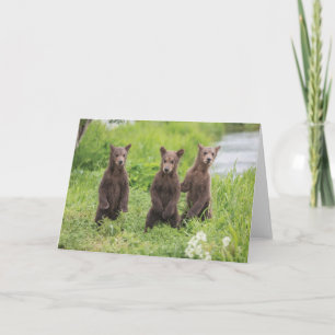 最も可愛い赤ん坊の動物 Kamchatka Brown Bear Cubs カード