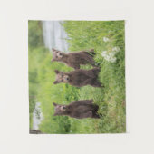 最も可愛い赤ん坊の動物 | Kamchatka Brown Bear Cubs タペストリー (正面)