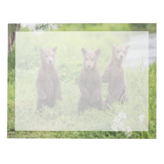 最も可愛い赤ん坊の動物 | Kamchatka Brown Bear Cubs ノートパッド (正面)