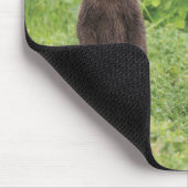 最も可愛い赤ん坊の動物 | Kamchatka Brown Bear Cubs マウスパッド (コーナー)