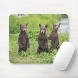 最も可愛い赤ん坊の動物 Kamchatka Brown Bear Cubs マウスパッド