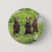 最も可愛い赤ん坊の動物 | Kamchatka Brown Bear Cubs 缶バッジ (正面)