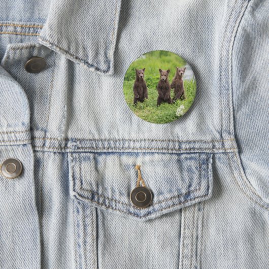 最も可愛い赤ん坊の動物 | Kamchatka Brown Bear Cubs 缶バッジ (インサイチュ)