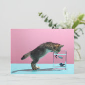 最も可愛い赤ん坊の動物 | Kitten Looking at魚鉢 サンキューカード (スタンド正面)