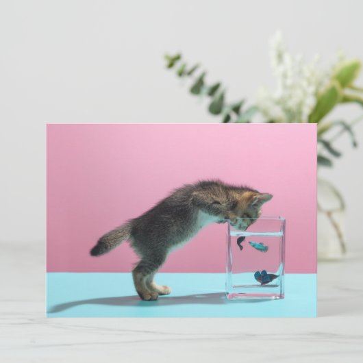 最も可愛い赤ん坊の動物 | Kitten Looking at魚鉢 サンキューカード (スタンド正面)