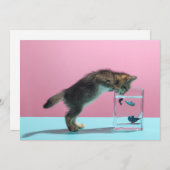 最も可愛い赤ん坊の動物 | Kitten Looking at魚鉢 サンキューカード (正面/裏面)