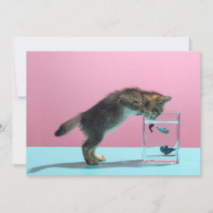 最も可愛い赤ん坊の動物 Kitten Looking at魚鉢 サンキューカード