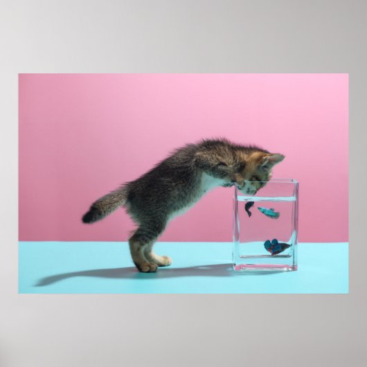 最も可愛い赤ん坊の動物 | Kitten Looking at魚鉢 ポスター (正面)