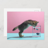 最も可愛い赤ん坊の動物 | Kitten Looking at魚鉢 ポストカード (正面/裏面)
