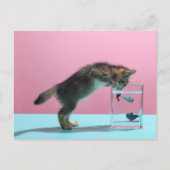 最も可愛い赤ん坊の動物 | Kitten Looking at魚鉢 ポストカード (正面)