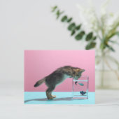 最も可愛い赤ん坊の動物 | Kitten Looking at魚鉢 ポストカード (スタンド正面)