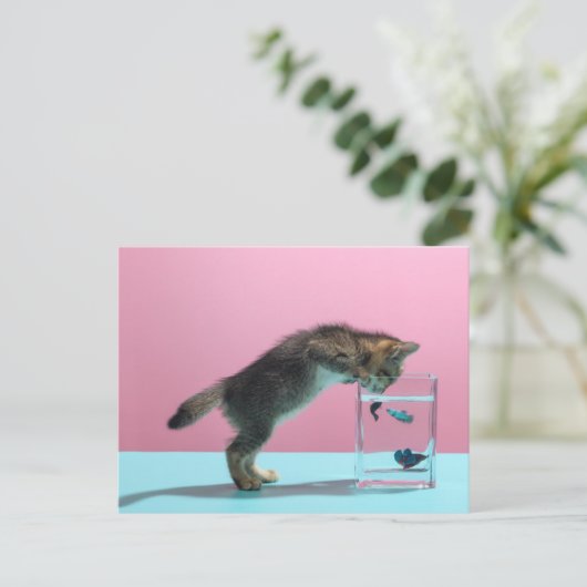 最も可愛い赤ん坊の動物 | Kitten Looking at魚鉢 ポストカード (スタンド正面)