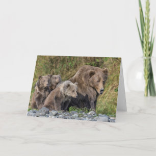 最も可愛い赤ん坊の動物 Kodiak Mama Bear & Cubs Kodiak Mama カード