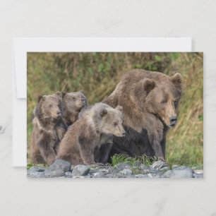 最も可愛い赤ん坊の動物 Kodiak Mama Bear & Cubs Kodiak Mama サンキューカード