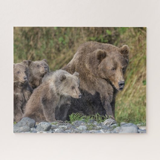 最も可愛い赤ん坊の動物 Kodiak Mama Bear & Cubs | Kodiak Mama ジグソーパズル (横)