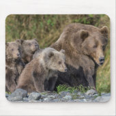 最も可愛い赤ん坊の動物 Kodiak Mama Bear & Cubs | Kodiak Mama  マウスパッド (正面)