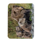 最も可愛い赤ん坊の動物 Kodiak Mama Bear & Cubs | Kodiak Mama  マグネット (縦)