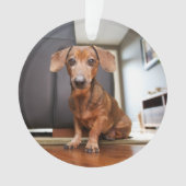 最も可愛い赤ん坊の動物 | Mini Dachshund Puppy オーナメント (正面)