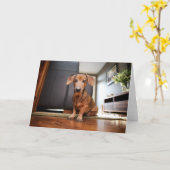 最も可愛い赤ん坊の動物 | Mini Dachshund Puppy カード (黄色い花)