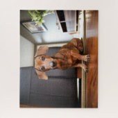 最も可愛い赤ん坊の動物 | Mini Dachshund Puppy ジグソーパズル (縦)